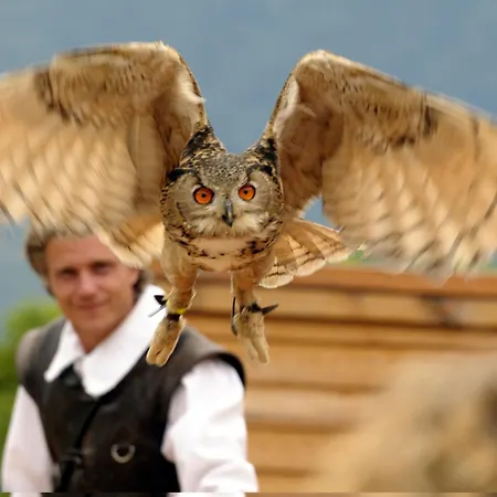 Relax Glicine Локарно