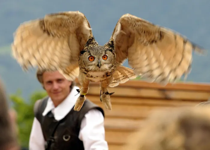 Relax Glicine Локарно